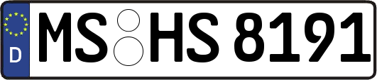 MS-HS8191