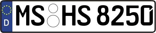 MS-HS8250