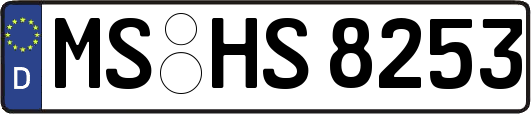 MS-HS8253