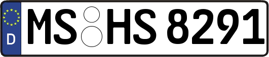 MS-HS8291