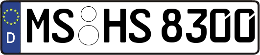 MS-HS8300