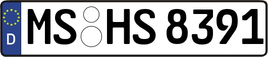 MS-HS8391