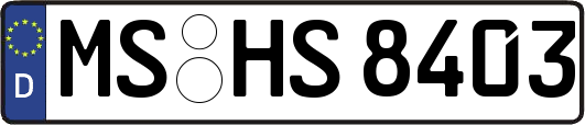 MS-HS8403