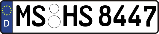 MS-HS8447
