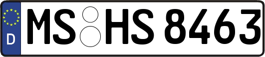 MS-HS8463