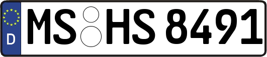 MS-HS8491