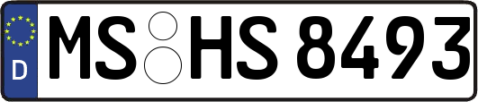 MS-HS8493