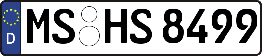 MS-HS8499