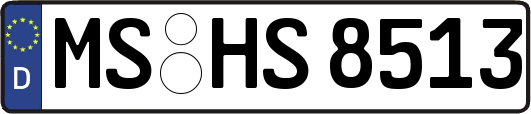MS-HS8513
