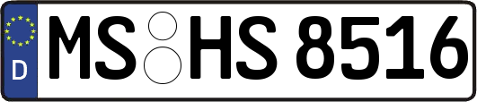 MS-HS8516