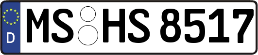 MS-HS8517