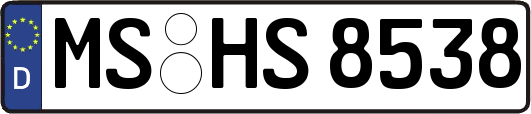 MS-HS8538