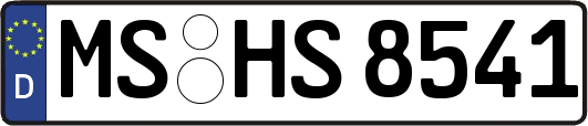 MS-HS8541