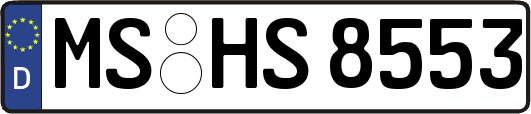 MS-HS8553