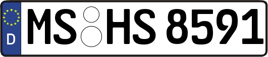 MS-HS8591