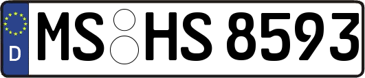 MS-HS8593