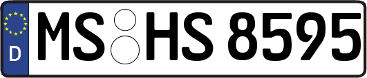 MS-HS8595