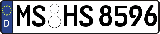 MS-HS8596