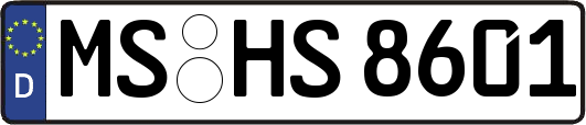 MS-HS8601
