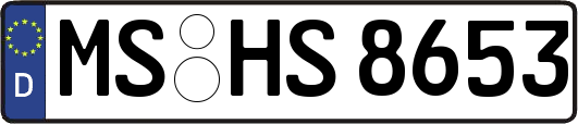 MS-HS8653