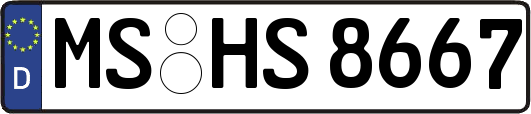 MS-HS8667