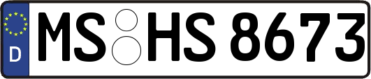 MS-HS8673