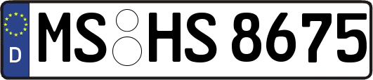 MS-HS8675