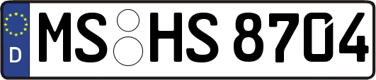 MS-HS8704