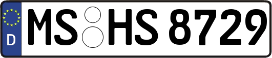 MS-HS8729