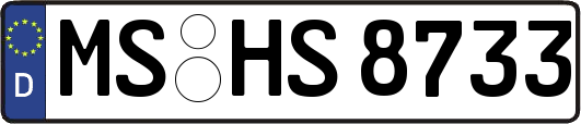 MS-HS8733