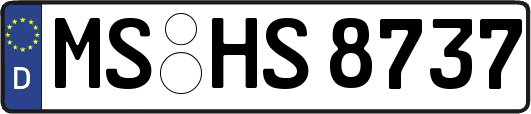 MS-HS8737