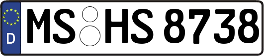 MS-HS8738