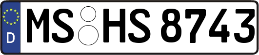 MS-HS8743