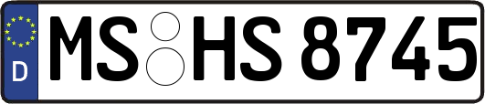 MS-HS8745