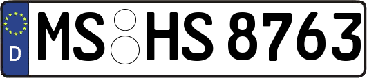 MS-HS8763
