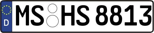 MS-HS8813