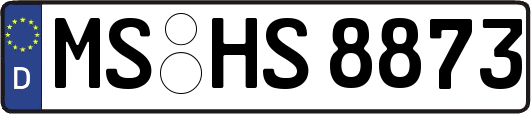 MS-HS8873