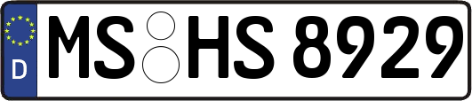 MS-HS8929