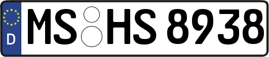 MS-HS8938