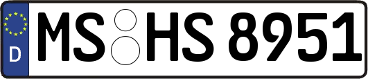 MS-HS8951