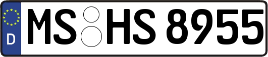 MS-HS8955