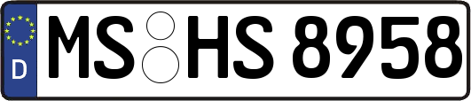 MS-HS8958