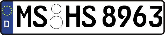 MS-HS8963