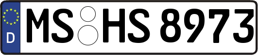 MS-HS8973