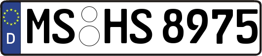 MS-HS8975