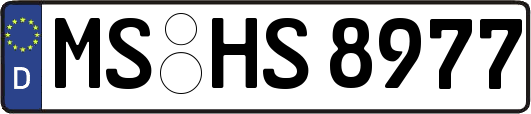 MS-HS8977