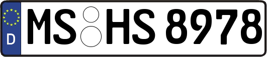 MS-HS8978