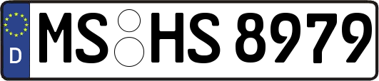 MS-HS8979