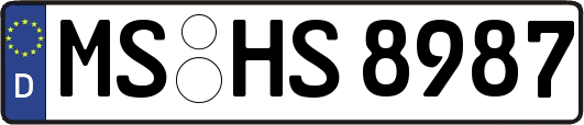 MS-HS8987