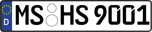 MS-HS9001